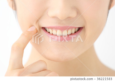 Dental teeth 36221583
