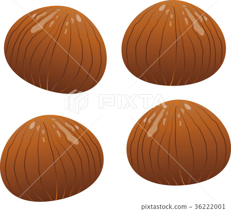 Marron Grace 36222001