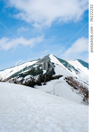 降雪季節，Mt。Ashigatake登山（北阿爾卑斯山） 36222282