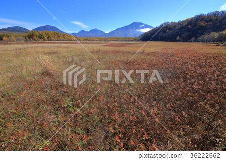 Oku Nikko Odashirohara Observatory (in the direction of Mt. Man Taroyama) 36222662