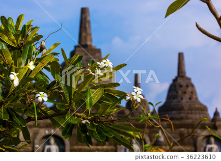 Buddhist temple of Banjar - island Bali Indonesia Buddhist temple of Banjar - island Bali Indonesia 36223610