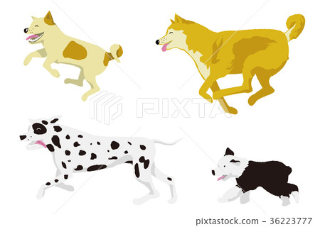 獵狗例證集合 獵狗例證集合 36223777