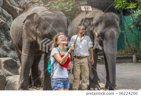 Woman selfie with elephant in Safari World Zoo 36224200
