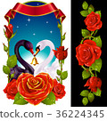 Swans and red Roses 36224345
