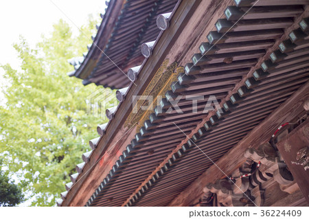 Miyazu Miyazu 36224409