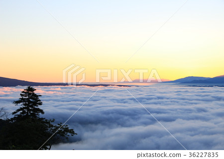 在北海道的Tsubetsu通行證的雲海 在北海道的Tsubetsu通行證的雲海 36227835