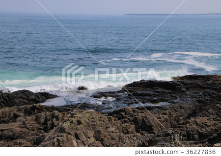 北海道根室海 36227836