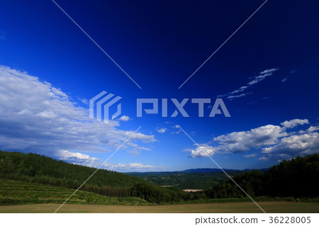 Blue sky scenery of Hokkaido Blue sky scenery of Hokkaido 36228005