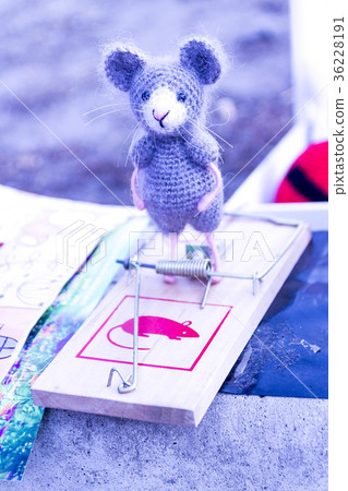 Mouse in a mousetrap. 36228191