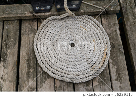 The sea rope twisted into a ring The sea rope twisted into a ring 36229113