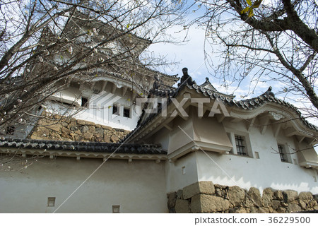Himeji castle   36229500