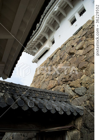 Himeji castle   36229502