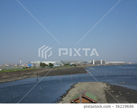 Haneda Airport seen from Tama River Haneda Airport seen from Tama River 36229686