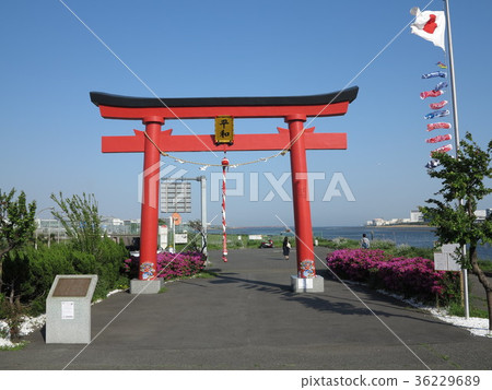 羽田機場的Otorii 羽田機場的Otorii 36229689