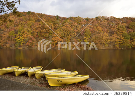 Elder Lake 2017 Fall Elder Lake 2017 Fall 36229814