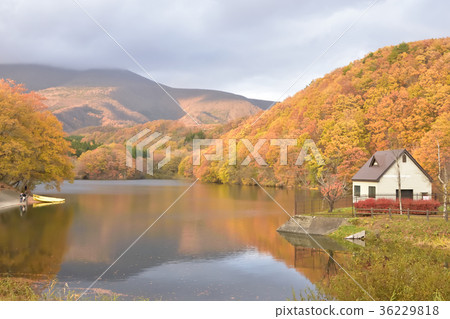 Elder Lake 2017 Fall Elder Lake 2017 Fall 36229818