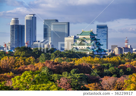 Aichi Prefecture Nagoya Castle and high-rise buildings Aichi Prefecture Nagoya Castle and high-rise buildings 36229917