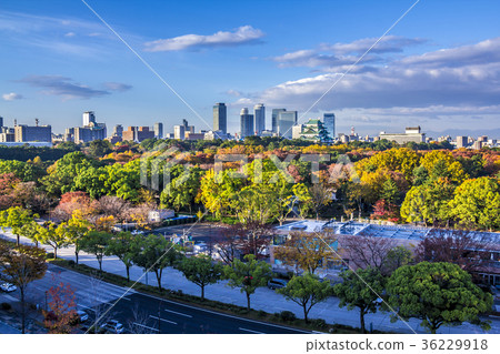 Aichi Prefecture Nagoya Castle and high-rise buildings 36229918