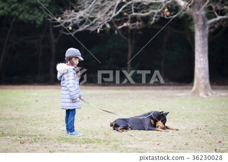 Girl playing with a dog 36230028