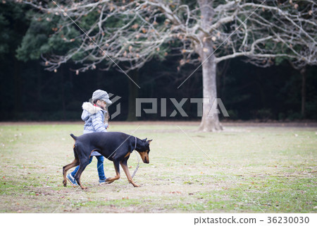 Girl playing with a dog 36230030