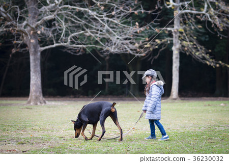 Girl playing with a dog 36230032
