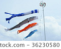    鯉魚旗 36230580