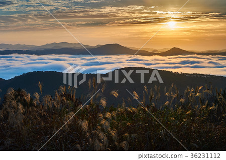 Clouds and sunrise seen from Mount Okada in Miyoshi City, Hiroshima Prefecture Clouds and sunrise seen from Mount Okada in Miyoshi City, Hiroshima Prefecture 36231112