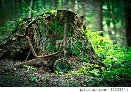 Old rusty tricycle in the forest Old rusty tricycle in the forest 36235344