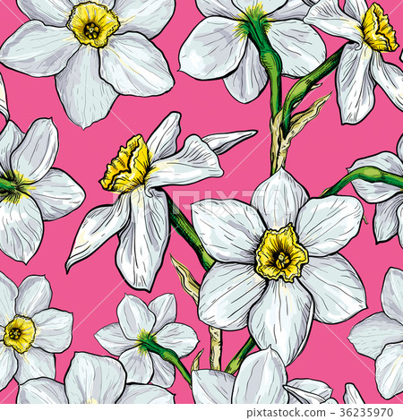 Seamless pattern with flowers of Narcissus 36235970