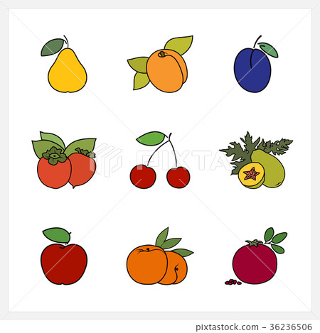Fruit Growing on a Trees Fruit Growing on a Trees 36236506