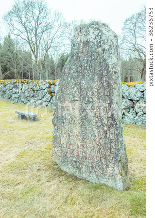 Runestone Runestone 36236753