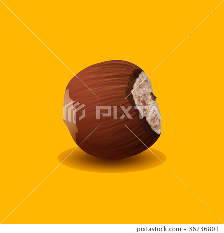 Hazelnut Isolated on a Yellow Background Hazelnut Isolated on a Yellow Background 36236801