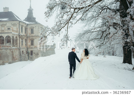 The full-length back view of the beautiful 36236987