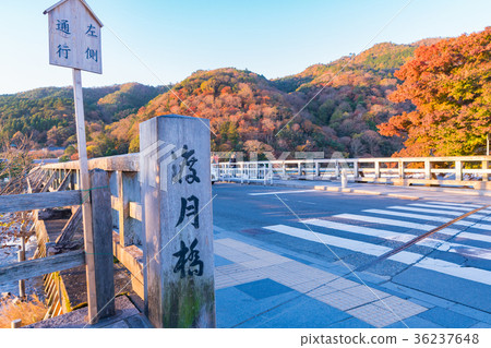 日本秋天京都Arashiyama Togetsu橋樑和秋葉 36237648