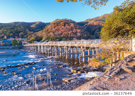 日本秋天京都Arashiyama Togetsu橋樑和秋葉 36237649