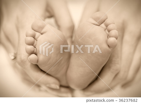 newborn baby feet on female hands 36237682