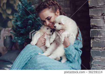 Attractive girl sits at home and with cute puppies Attractive girl sits at home and with cute puppies 36239114