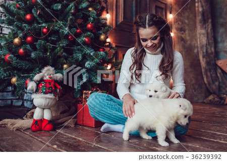 Beautiful woman with cute puppies sitting near 36239392