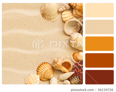 Colour palette swatch. 36239726