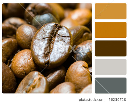 Coffee beans colour palette swatch 36239728