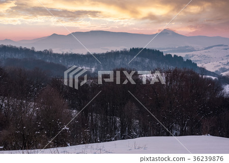 leafless forested hills at winter dawn leafless forested hills at winter dawn 36239876