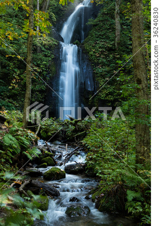 Kumoi瀑布Oirase山間溪流[青森縣] 36240830