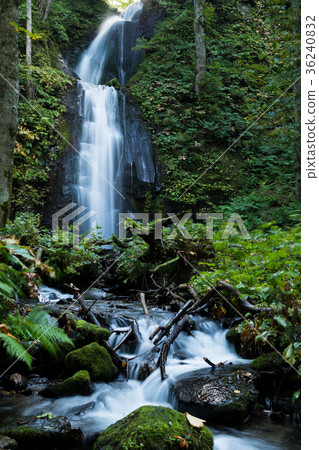 Kumoi瀑布Oirase山間溪流[青森縣] 36240832