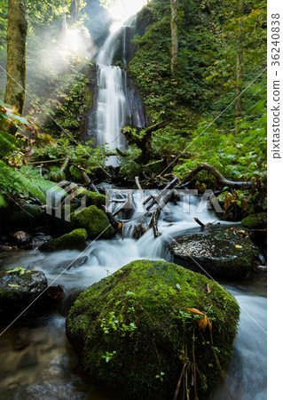 Kumoi Waterfall Oirase mountain stream [Aomori Prefecture] 36240838