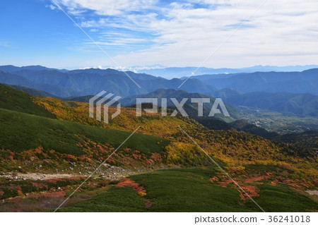 秋葉Norikura Mt Norikura迴聲線森林限制秋葉 36241018