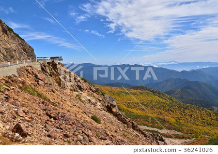 秋葉Norikura Mt Norikura迴聲線森林限制秋葉 36241026