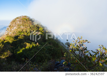 Landscape view of Chiang dao mountain area. 36242597