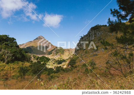 Landscape view of Chiang dao mountain area. 36242988
