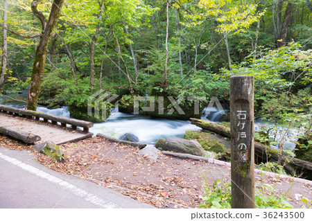 Ishigado no ose Oirase mountain stream [Aomori Prefecture] 36243500