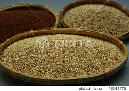 穀類的紅寶石-紅藜 穀類的紅寶石-紅藜 36243776